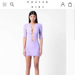 Elegant Lavender Skirt